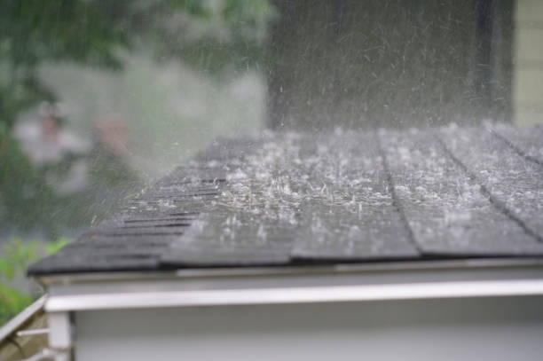 Best Roof Ventilation Installation  in Crete, IL